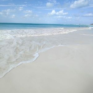 Meet your Posher, Magdalena